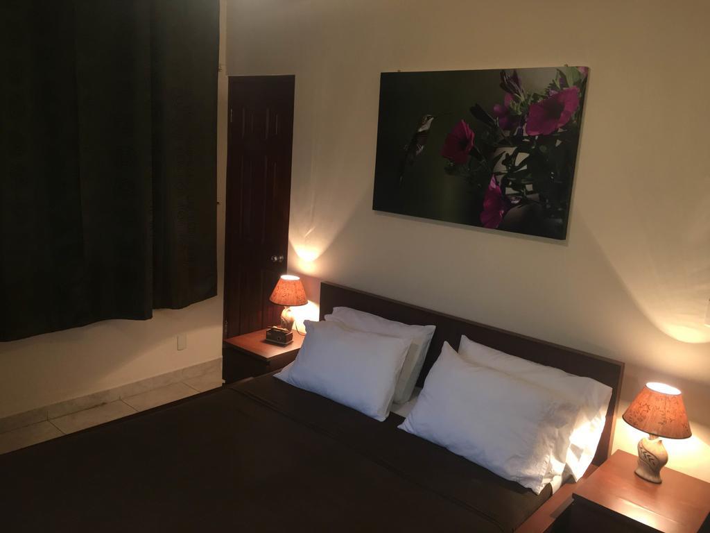 Double Room,379567270:JPEG